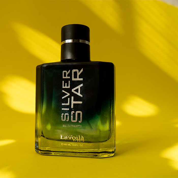 عطر مردانه مدل SILVER STAR